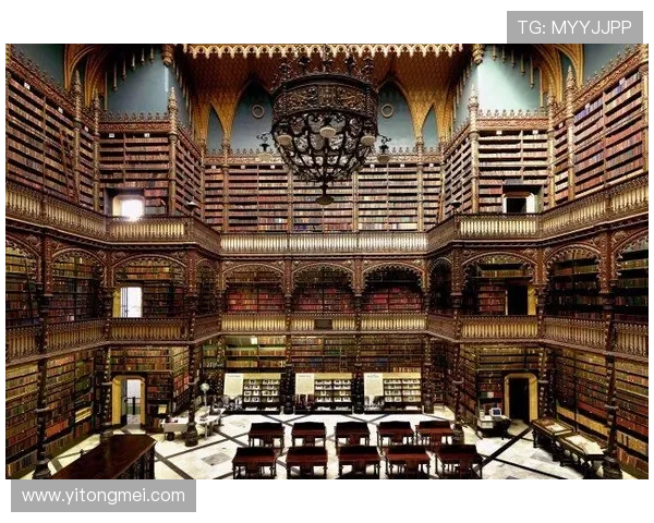 尊龙z6官网入口常见问题解答及安全登录技巧全攻略